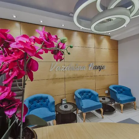 Vazdusna Banja Hotell Ni