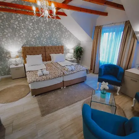 Hotell Vazdusna Banja