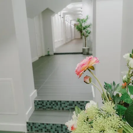 Hotell Vazdusna Banja *